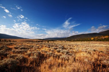 güneşli bir sonbahar çayır