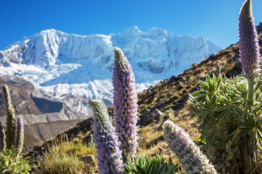 Güzel Dağlar Manzarası