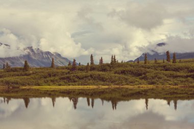 Alaska pitoresk dağlar yaz aylarında