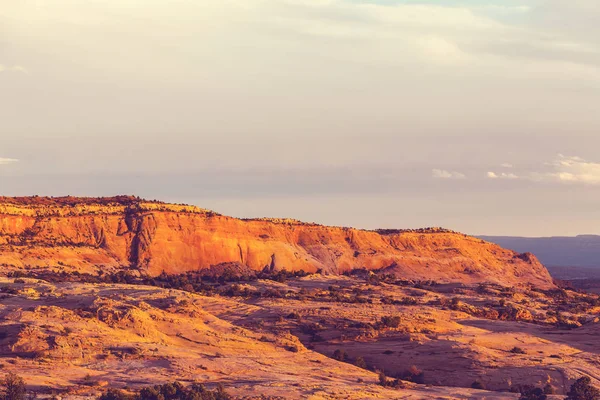 Prairie заміському пейзажі — стокове фото