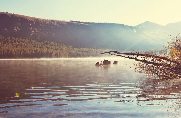 Herbst in Sierra Nevada — Stockfoto