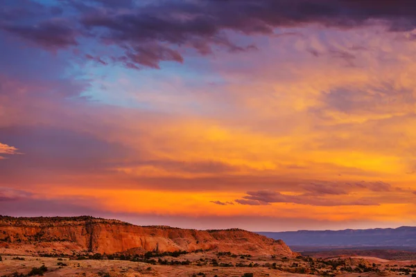 Prairie country landscape — Stock Photo, Image