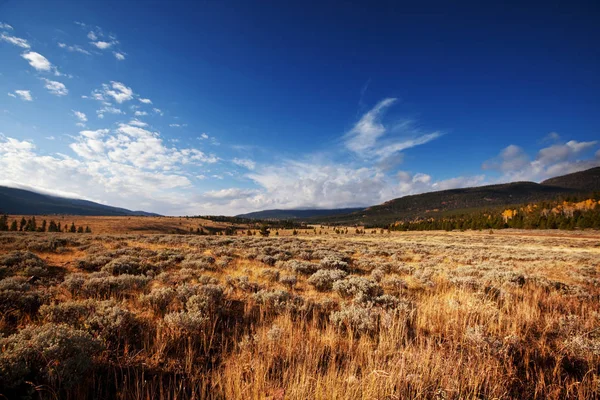 güneşli bir sonbahar çayır