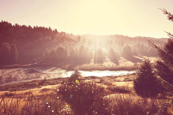 Foggy meadow in the sunny morning — Stock Photo, Image