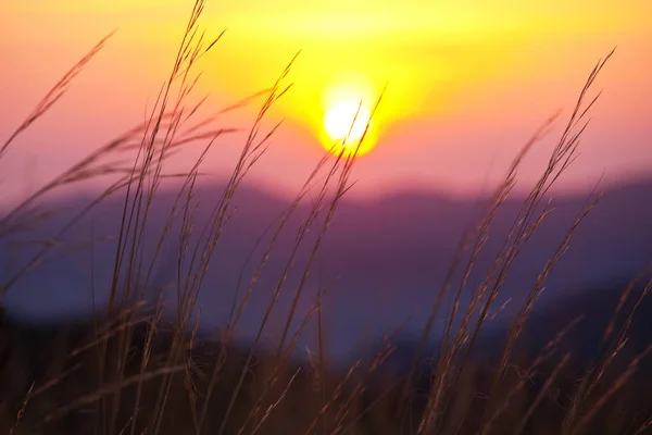 Vackra flammande soluppgången landskap — Stockfoto