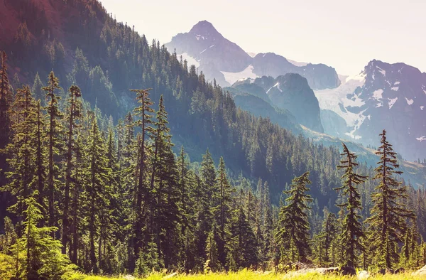 MT. Baker rekreační oblast — Stock fotografie