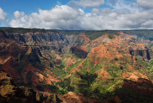 Waimea Kanyon Kauai Hawaii — Stock Fotó