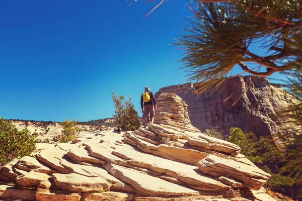 Wanderung Zion Nationalpark — Stockfoto