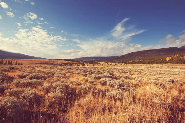 Prairie d'automne ensoleillée — Photo