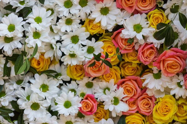 Primer plano de las hermosas flores — Foto de Stock