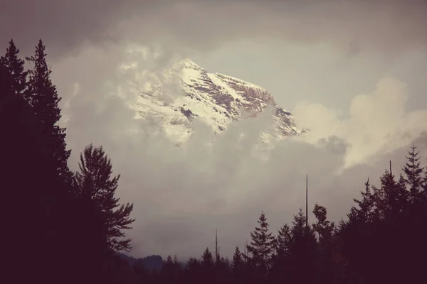 A magas hegyek a köd — Stock Fotó