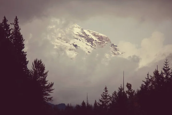 高山の霧 — ストック写真