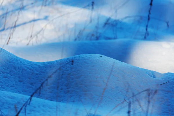 Prairie congelée fin d'automne — Photo