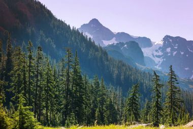 Mt. Baker rekreasyon alanı