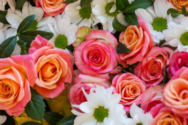 Güzel doğa arkaplanı