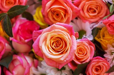 Güzel doğa arkaplanı