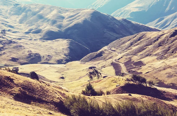 Pampas landscapes in  Cordillera de Los Andes — Stockfoto