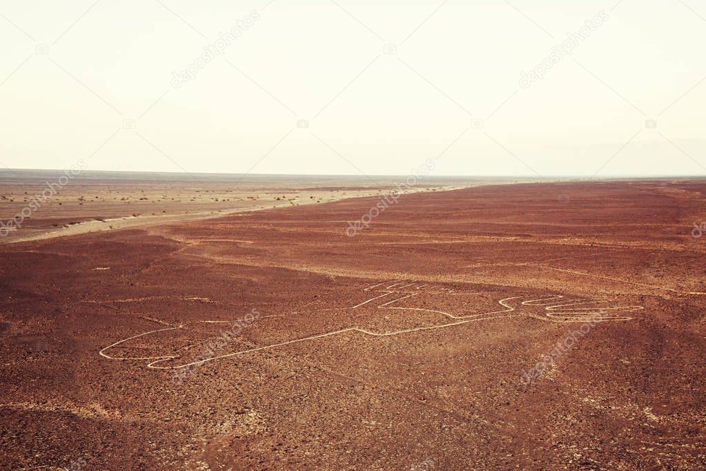 Nazca lines in Peru. scenic view 