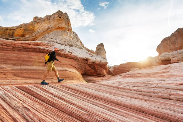 Vermilion Cliffs nationalmonument — Stockfoto