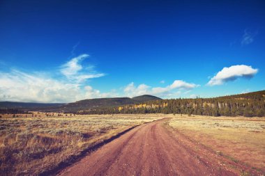 güneşli bir sonbahar çayır