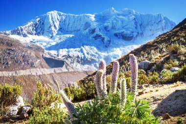 Güzel dağlarının Cordillera yükseltisidir manzarada 