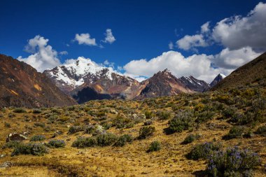 Güzel dağlarının Cordillera yükseltisidir manzarada 
