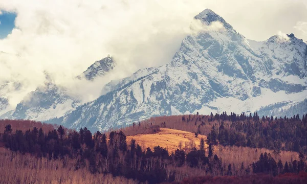 Colorado renkli sarı sonbahar — Stok fotoğraf