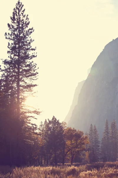 Yosemitský národní park — Stock fotografie