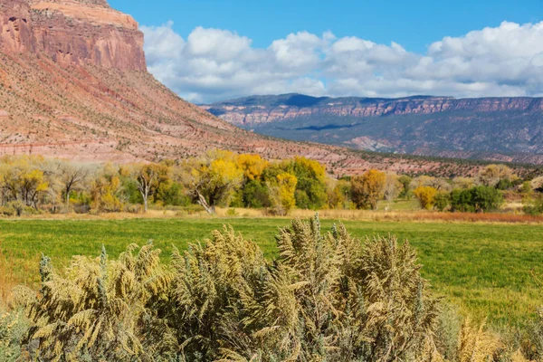 Berglandschap in Colorado Rocky Mountains — Stockfoto