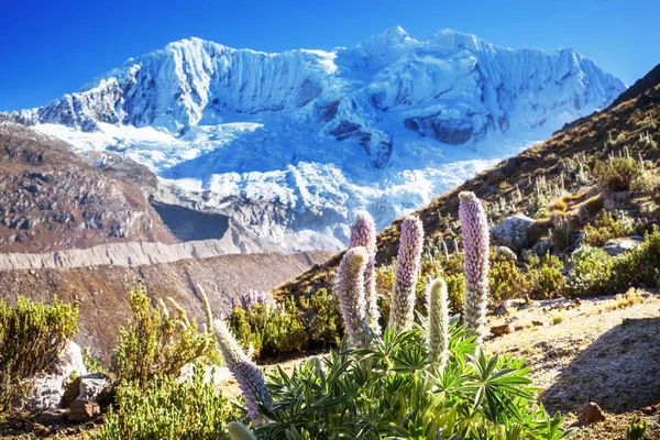Güzel dağlarının Cordillera yükseltisidir manzarada 