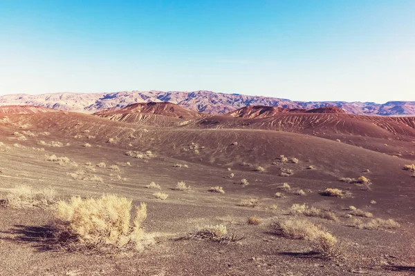 Öknen landskap i Nevada state — Stockfoto