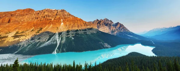 Lago Peyto no parque nacional de Banff — Fotografia de Stock