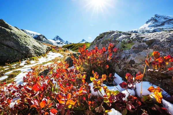 Höstsäsongen i Kackar berg — Stockfoto