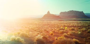  çayır ülke manzara