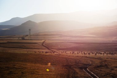Türkiye'de güzel kırsal manzara