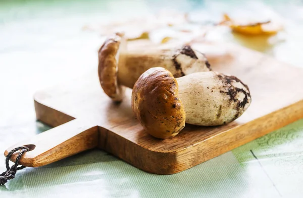 Autumn mushrooms for cooking — Stock Photo, Image