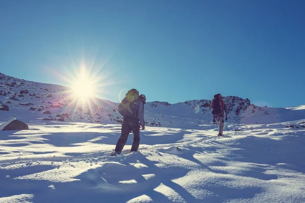 Wandelaars in de winterbergen — Stockfoto