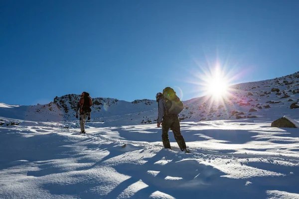 Kış dağlarında yürüyüşçüler — Stok fotoğraf