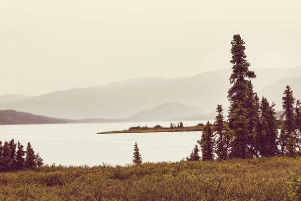 Lago Serenidade Vista Panorâmica Tundra Alasca — Fotografia de Stock