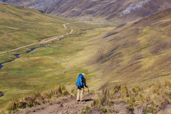 Scène de randonnée dans les montagnes de la Cordillère — Photo