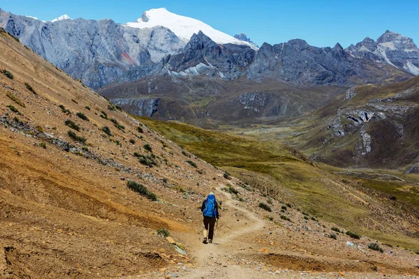 徒步旅行在科迪勒拉山系的场景 — 图库照片