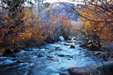 Sonbaharda orman deresi
