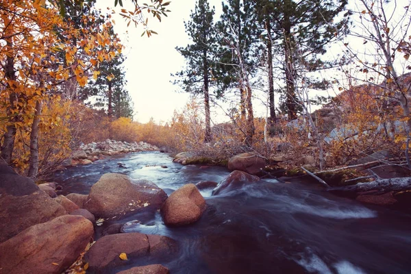 Le ruisseau forestier en automne — Photo