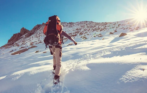 Senderista en las montañas de invierno — Foto de Stock