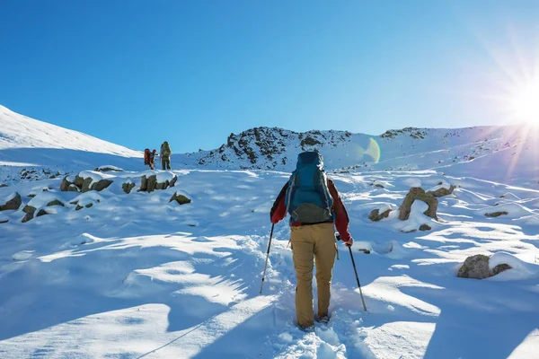 Caminhante nas montanhas de inverno — Fotografia de Stock