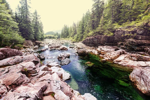 Vancouver Island. Canada — Stock Photo, Image