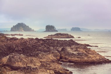  Vancouver Adası, British Columbia, Kanada 
