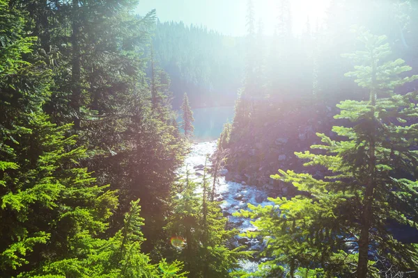 Randonnée dans les eaux turquoise du pittoresque lac Garibaldi — Photo