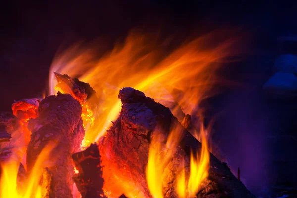 森林里的篝火 — 图库照片