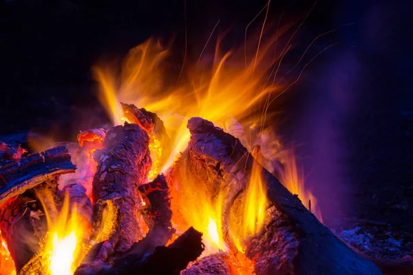 森林里的篝火 — 图库照片